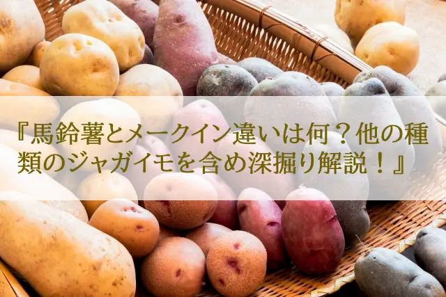 馬鈴薯とメークイン違いは何？他の種類のジャガイモを含め深掘り解説！